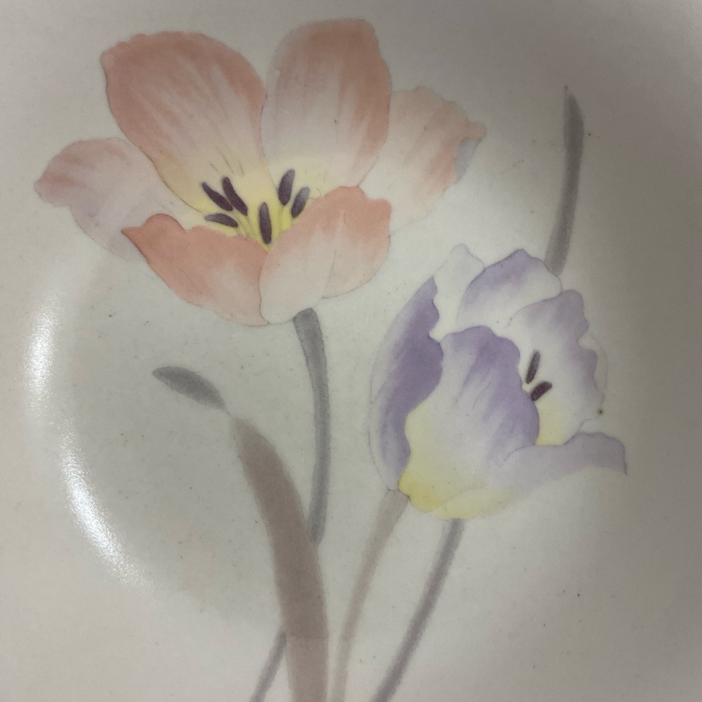 Mikasa Natural Beauty CT077 FootLoose Japan salad/cereal bowl set of 2 - Picture 3 of 6